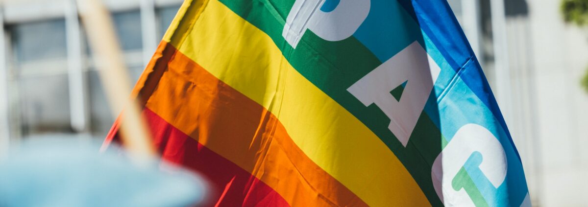 Foto „Regenbogenflagge Frieden“ von Markus Spiske @ Unsplash
