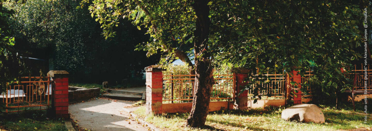 Baumschutzsatzung? Ja, klar!