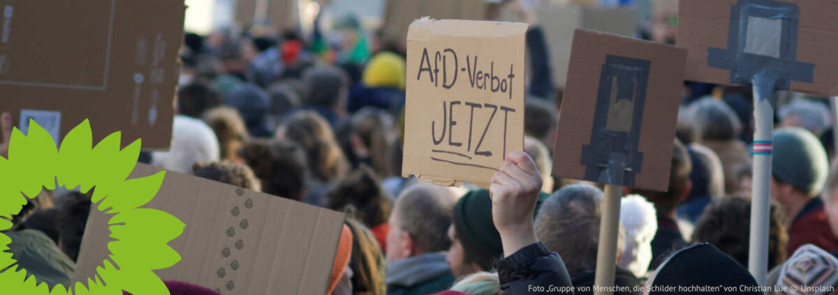 Gesichert Rechtsextrem: Was für ein AfD-Verbot spricht und was dagegen (Foto „Gruppe von Menschen, die Schilder hochhalten“ von Christian Lue @ Unsplash)