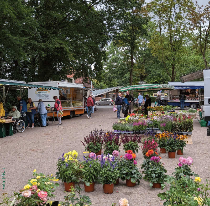 Marktplatz Bloherfelde (PXL_20260703_082951645)